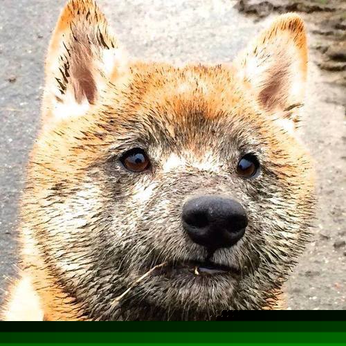 今年季后赛最受关注的对决都有哪些?,今年季后赛几场决胜