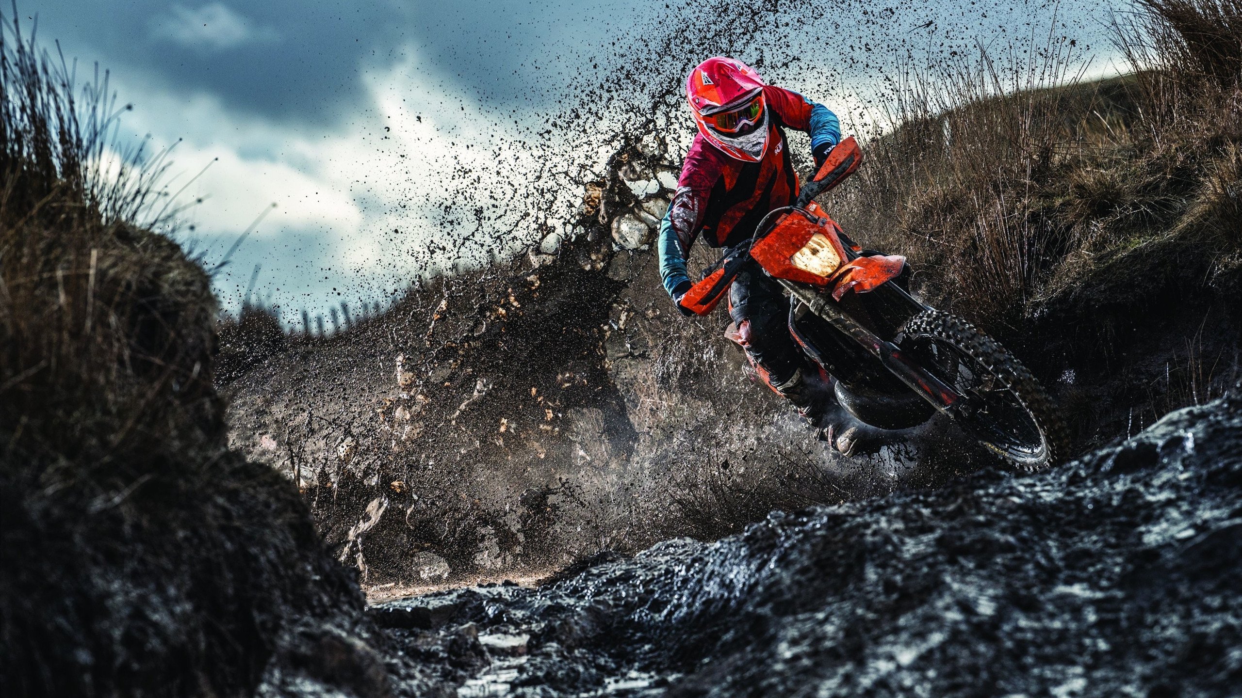 贝尔哈德·福特：凭借无畏的防守精神，增强了全黑队的硬实力，贝尔福特妻子纳丁