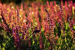 爱游戏体育平台-关键篮板：李磊抢得无数重要防守篮板！，李磊 球员