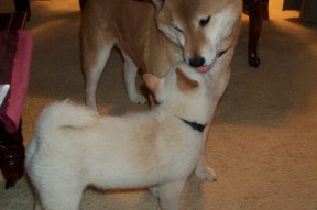 AYX体育-“未来已至：新能源赛车重新定义极限速度”，新能源赛道结束了吗