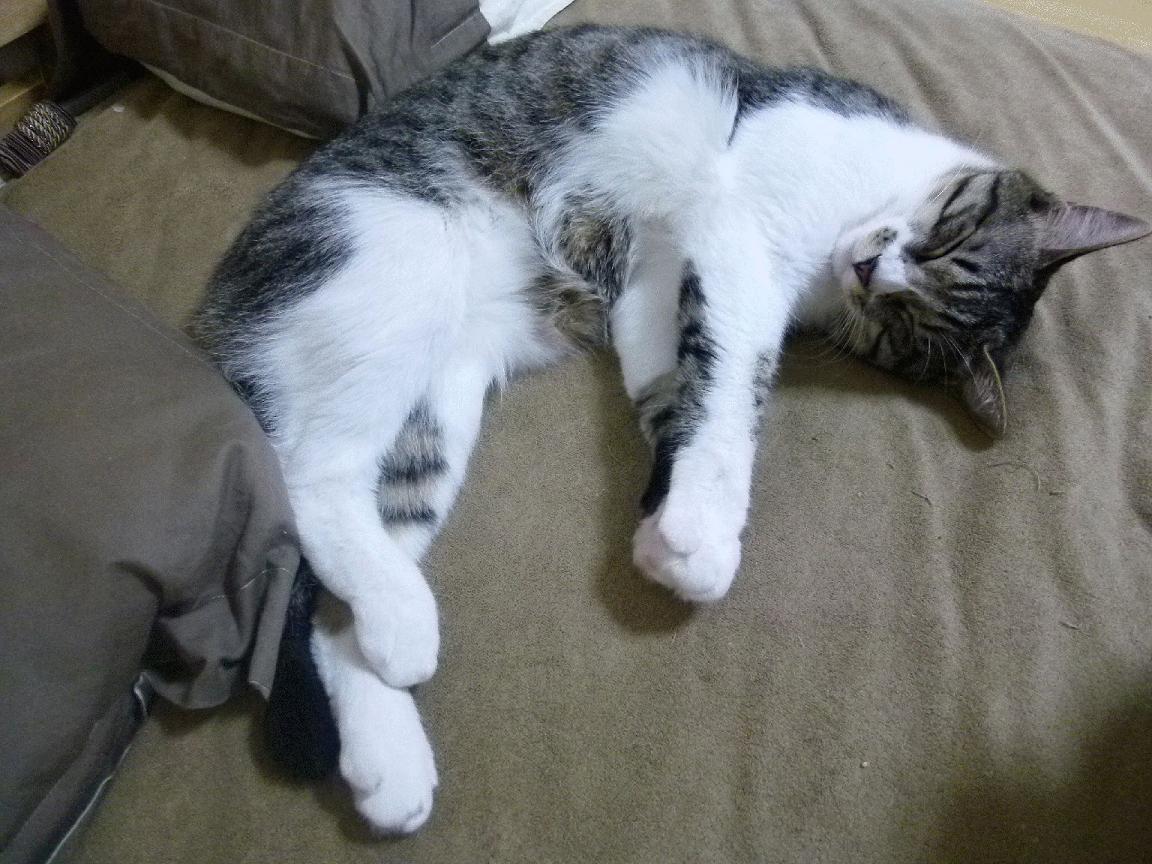 【夺冠秘诀】丁俊晖讲述他如何应对比赛中的犯规压力,丁俊晖的水平