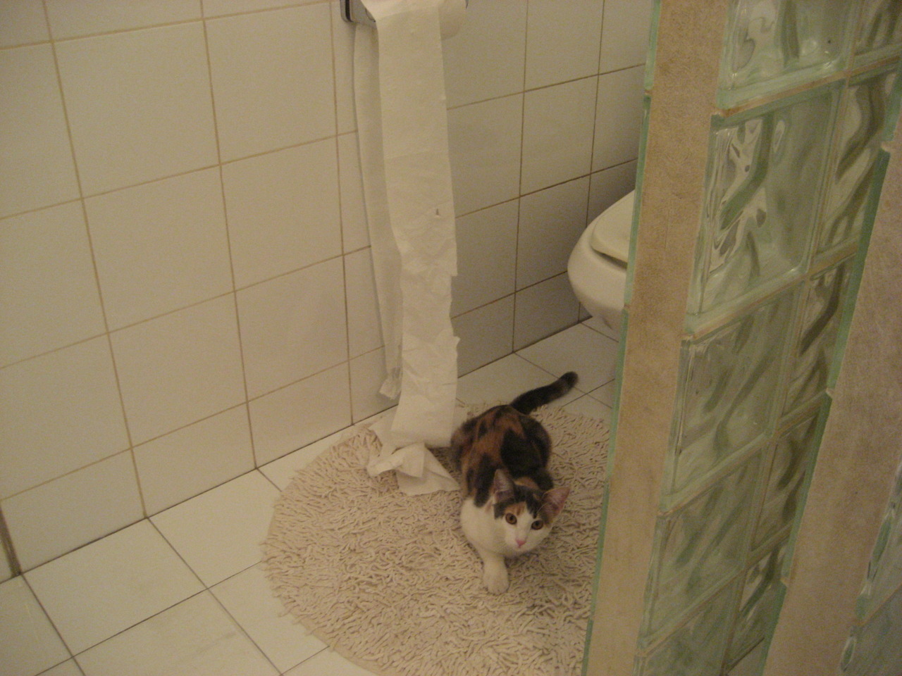 传统赛事创新:加入更多互动元素吸引年轻群体